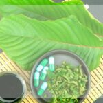 Nová Nebezpečná Droga Mladistvých: Kratom - Utrácejí Tisíce Měsíčně!