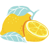 citron a slinivka