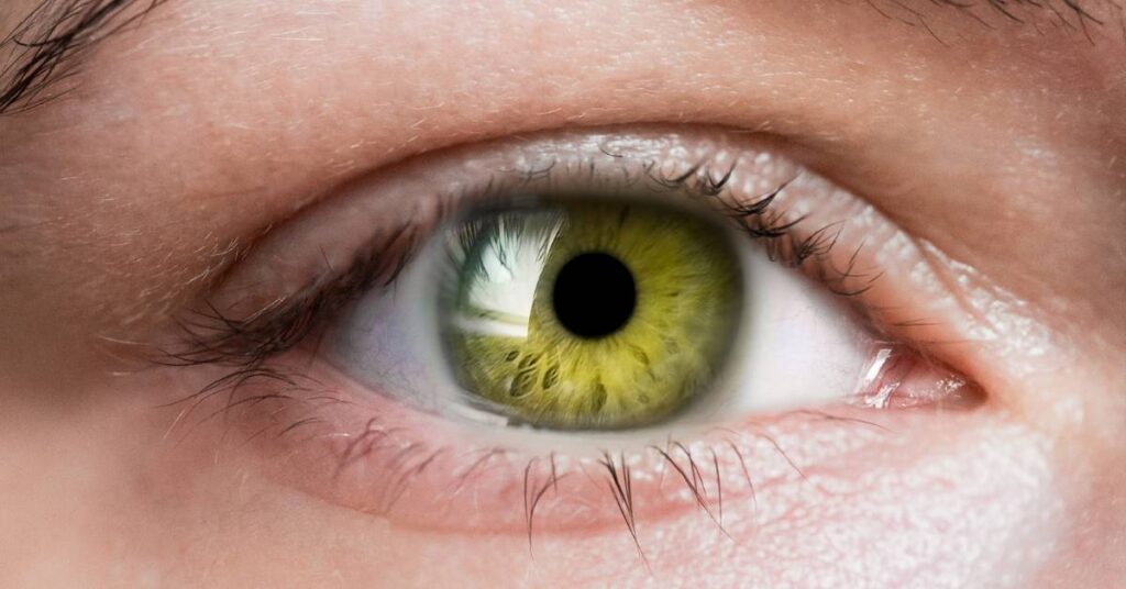 zelene oci jsou v cechach nejvzacnejsi