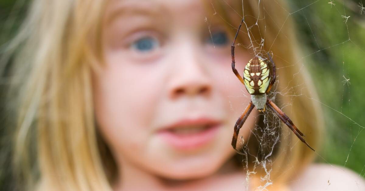 Fobie z pavouků [Arachnofobie]: Příčiny a Možnosti Léčby