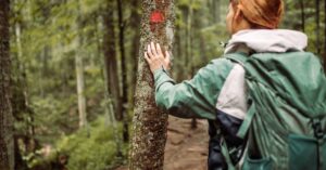 Skalní útvar Vozka v Hrubém Jeseníku: Popis tras a turistické tipy