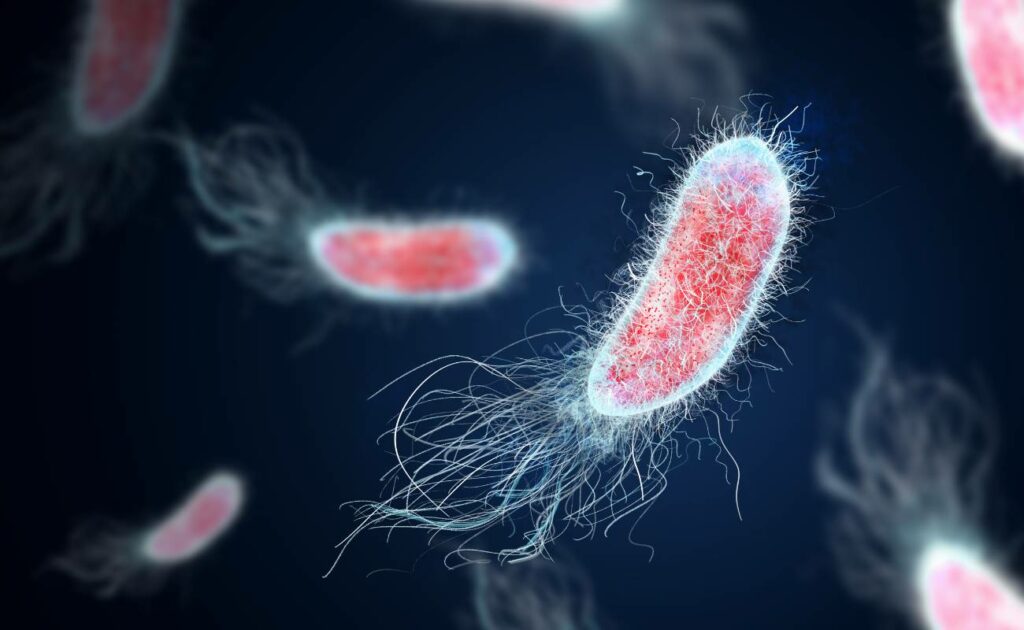 Bakteriální infekce - Nebezpečná nemoc způsobená patogenními bakteriemi