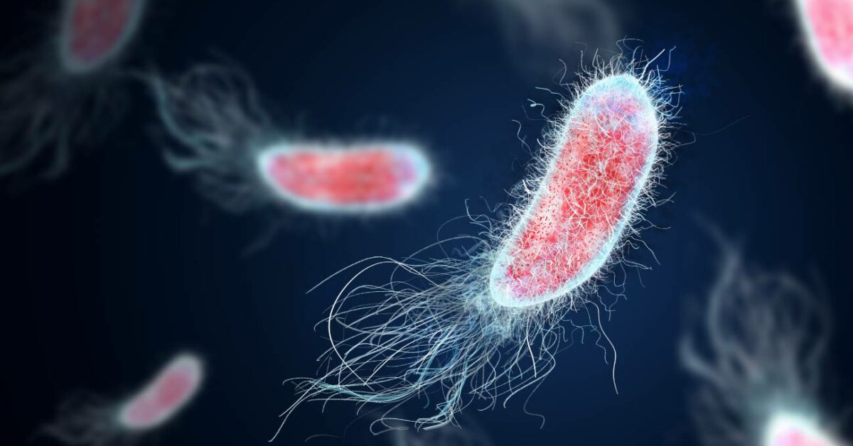 Bakteriální infekce - Nebezpečná nemoc způsobená patogenními bakteriemi