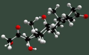 10 Důvodů proč potřebujeme Kortizol a nemůžeme ho kompletně eliminovat: Význam tohoto hormonu pro naše tělo
