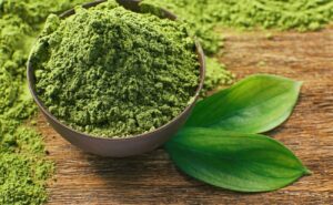 Druhy Kratomu: Jak se vlastně liší 5 typů kratomu a jaké mají účinky