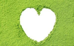 Složení Kratomu: Vše co tento zelený prášek obsahuje