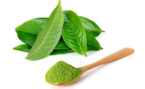 Jak stáří kratomu ovlivňuje účinky: Proč nekupovat kratom ve výprodeji
