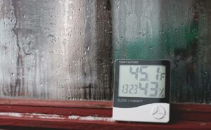 Přírodní pohlcovače vlhkosti: 9 Nejlepších, které vám zachrání byt